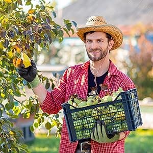 COOLJOB 2 Pairs Gardening Gloves for Women and Men, Bamboo Working Gloves Touchscreen, Grippy Nitrile Rubber Coated Work Gloves, Green/Black, X-Large Size (2 Pairs XL)