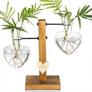 Kingbuy Hydroponic Glass Vase Vintage Desktop Plant Terrarium Planter Bulb Vase Water Planting Propagation Vase Planters Hydroponics Plants with Retro Wooden Stand Home Garden. (E(2 Heart Vase))
