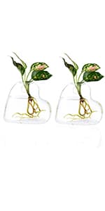 Kingbuy Hydroponic Glass Vase Vintage Desktop Plant Terrarium Planter Bulb Vase Water Planting Propagation Vase Planters Hydroponics Plants with Retro Wooden Stand Home Garden. (E(2 Heart Vase))
