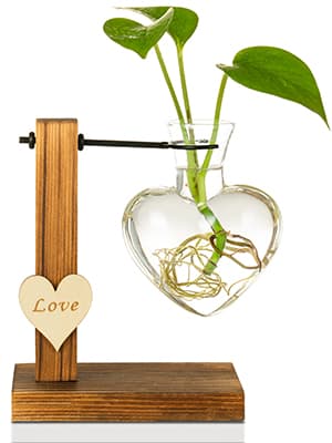 Kingbuy Hydroponic Glass Vase Vintage Desktop Plant Terrarium Planter Bulb Vase Water Planting Propagation Vase Planters Hydroponics Plants with Retro Wooden Stand Home Garden. (E(2 Heart Vase))