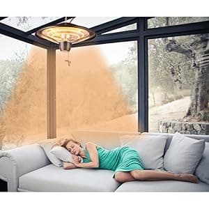 DONYER POWER 1500W Outdoor/Indoor Electric Patio Heater, Ceiling Mounted, Iron