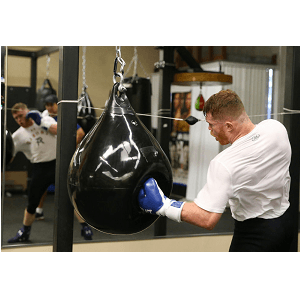 Carabiner Clip, 855lbs,3" Iron Heavy Duty Caribeaners for Hammocks, Camping Accessories,Hiking,Keychains,Outdoors and Gym etc,D Shaped Spring Hook Small Carabiners for Dog Leash,Harness and Key Ring.