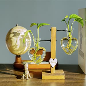 Kingbuy Hydroponic Glass Vase Vintage Desktop Plant Terrarium Planter Bulb Vase Water Planting Propagation Vase Planters Hydroponics Plants with Retro Wooden Stand Home Garden. (E(2 Heart Vase))