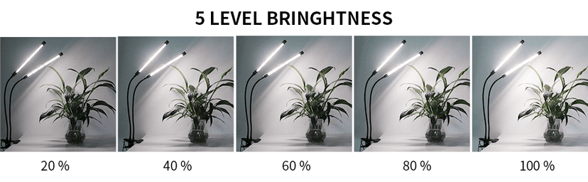 GooingTop LED Grow Light,6000K Full Spectrum Clip Plant Growing Lamp with White Red LEDs for Indoor Plants,5-Level Dimmable,Auto On Off Timing 4 8 12Hrs