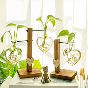 Kingbuy Hydroponic Glass Vase Vintage Desktop Plant Terrarium Planter Bulb Vase Water Planting Propagation Vase Planters Hydroponics Plants with Retro Wooden Stand Home Garden. (E(2 Heart Vase))