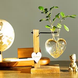 Kingbuy Hydroponic Glass Vase Vintage Desktop Plant Terrarium Planter Bulb Vase Water Planting Propagation Vase Planters Hydroponics Plants with Retro Wooden Stand Home Garden. (E(2 Heart Vase))