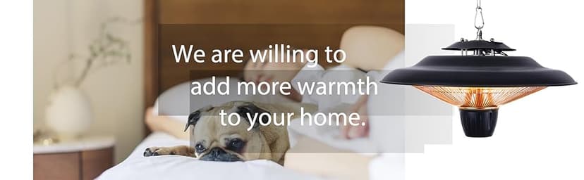 DONYER POWER 1500W Outdoor/Indoor Electric Patio Heater, Ceiling Mounted, Iron