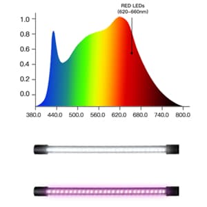 GooingTop LED Grow Light,6000K Full Spectrum Clip Plant Growing Lamp with White Red LEDs for Indoor Plants,5-Level Dimmable,Auto On Off Timing 4 8 12Hrs