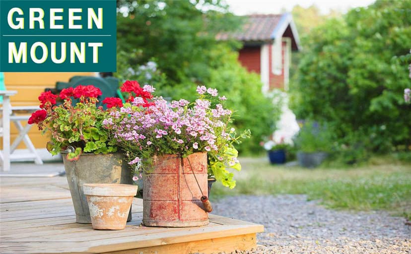 GREEN MOUNT Watering Wand, 24 Inches Sprayer Wand with Superior Stainless Head, Perfect for Hanging Baskets, Plants, Flowers, Shrubs, Garden and Lawn, Purple