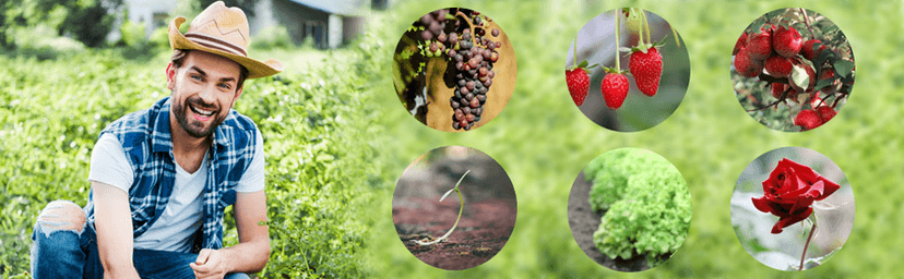 GooingTop LED Grow Light,6000K Full Spectrum Clip Plant Growing Lamp with White Red LEDs for Indoor Plants,5-Level Dimmable,Auto On Off Timing 4 8 12Hrs