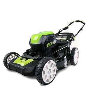 Greenworks 14-Inch Reel Lawn Mower RM1400