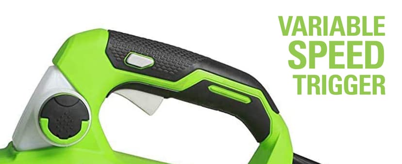 Greenworks 7 Amp (2-In-1) 10-inch Corded Electric Polesaw, PSCS06B01