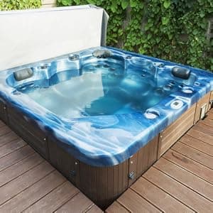 Aquatic 2 Spa, Hot Tub Ozone Generator 300 mg/h, Spa Skin Care, Ozonator, Irritant Reducer, for Water Sanitation