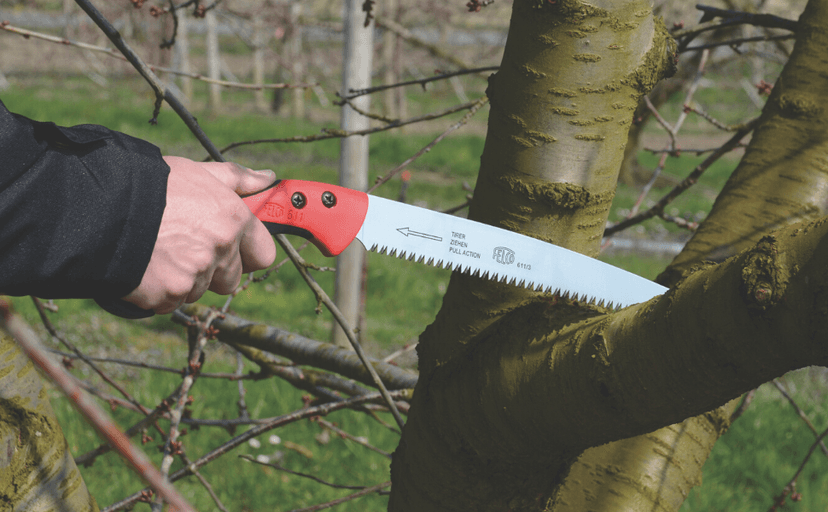 FELCO Pruning Saw (F 611) - Classic Tree Pull Stroke Pruner Saw w/ Carrying Sheath