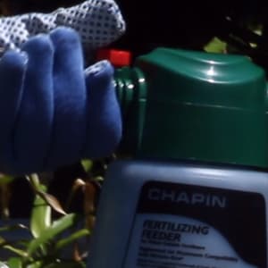 Chapin International G405 Feeder Hose End for Dry and Water Soluble Fertilizers, Green