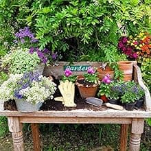 DeWit Forged Transplant Trowel with Short Handle, Lightweight & Durable Garden Tool with Comfortable Grip for Planting, Digging & Transplanting