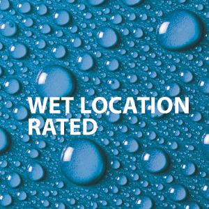 NICOR Lighting 150W Black Double Cylinder Adjustable Security Flood Light (11721)