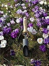 DeWit Forged Transplant Trowel with Short Handle, Lightweight & Durable Garden Tool with Comfortable Grip for Planting, Digging & Transplanting