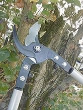 Bahco P19-80-F Heavy Duty Lopper, 32-Inch, Black