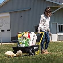 Gorilla Carts GCR-4 Poly Dump Cart, 2-Wheel Garden Wagon with Foldable Handle, 4 cu ft, 300 lb. Capacity, Black/Yellow
