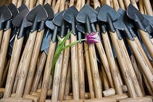 DeWit Forged Transplant Trowel with Short Handle, Lightweight & Durable Garden Tool with Comfortable Grip for Planting, Digging & Transplanting