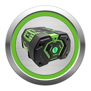 EGO Power+ MPS1001 10-inch Pole Saw & Power Head with 2.5Ah Battery & Charger Included