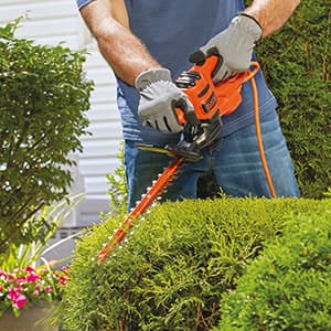 BLACK+DECKER Electric Hedge Trimmer, 17-Inch (BEHT150)