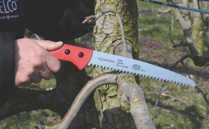 FELCO Pruning Saw (F 621) - Classic Tree Pull Stroke Pruner Saw w/ Carrying Sheath