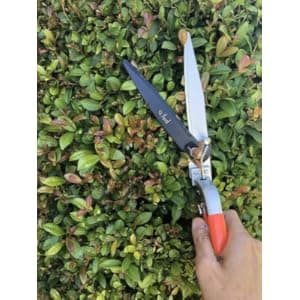 Q-yard QY-741F Flower Bed and Grass Shear - Extra Sharp Garden Hand Pruners, Easier Cutting, Comfortable Ergonomic, Less Effort - Gardening Scissors for Men & Women , Orange
