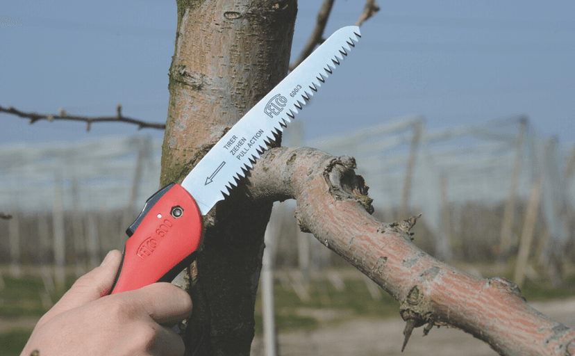 FELCO Folding Saw (F 600) - Classic Tree Pruning Saw with Pull-Stroke Action, Red