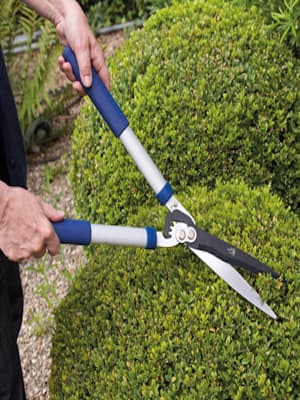 Spear & Jackson 4826RSA Razorsharp Active Anvil Lopper