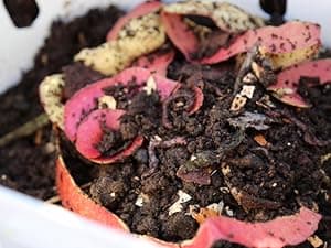 Vego garden Raised Garden Bed Kits, 17" Tall 9 in 1 8ft X 2ft Metal Raised Planter Bed for Vegetables Flowers Ground Planter Box-British Green