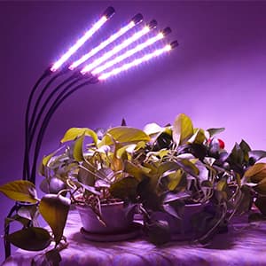 KEELIXIN Grow Lights for Indoor Plants,5 Heads Red Blue White Full Spectrum Plant Light with 15-60" Adjustable Tripod Stand, Indoor Grow Lamp with Remote Control and Auto On/Off Timer Function