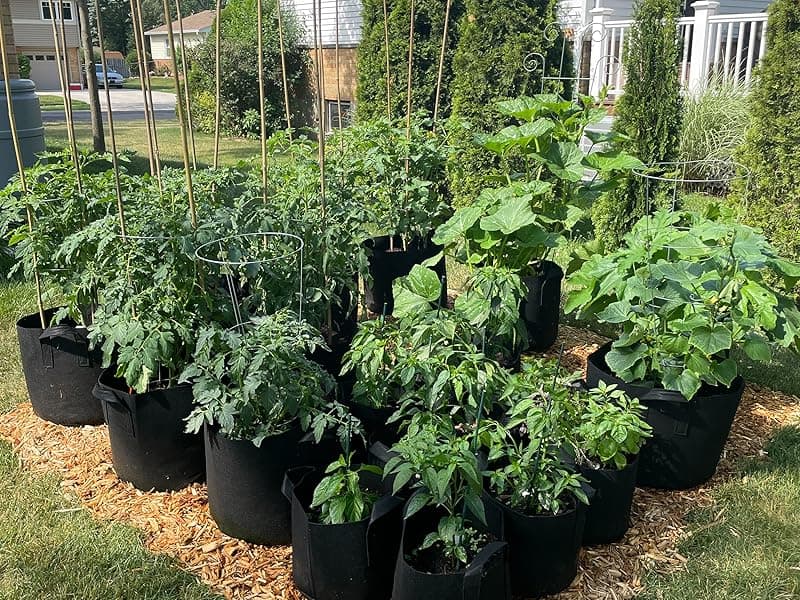 Gardzen 20-Pack 5 Gallon Grow Bags, Aeration Fabric Pots with Handles