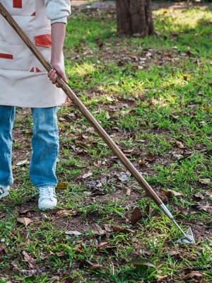 Haliaeetus Triangle Hoe, 60'' Scuffle Hoe for Keeping Your Back from Tiring Out, Weeding Just in Push-Pull Motion, Rogue Hoe with Triangle Head for Quickly Clear Out a lot of Weeds from All Direction