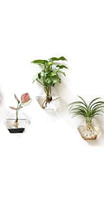 Kingbuy Hydroponic Glass Vase Vintage Desktop Plant Terrarium Planter Bulb Vase Water Planting Propagation Vase Planters Hydroponics Plants with Retro Wooden Stand Home Garden. (E(2 Heart Vase))