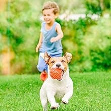 NOYAFA NF-826 Underground Cable Tester Locator Circuit Tracer Metal Pipe Detector Wire Tracker Tool Detects Wall\Underground Wires, Cables, Water and Gas Pipeline Paths