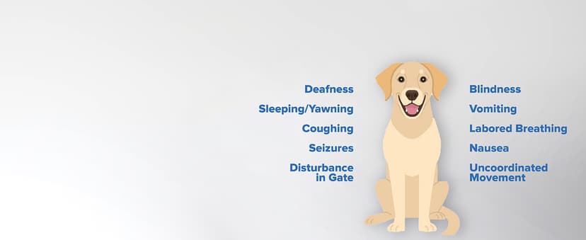 Kidde Carbon Monoxide Detector, Propane, Natural, Methane, & Explosive Gas Alarm, Plug-In Wall with 9-Volt Battery Backup, Digital LED Display