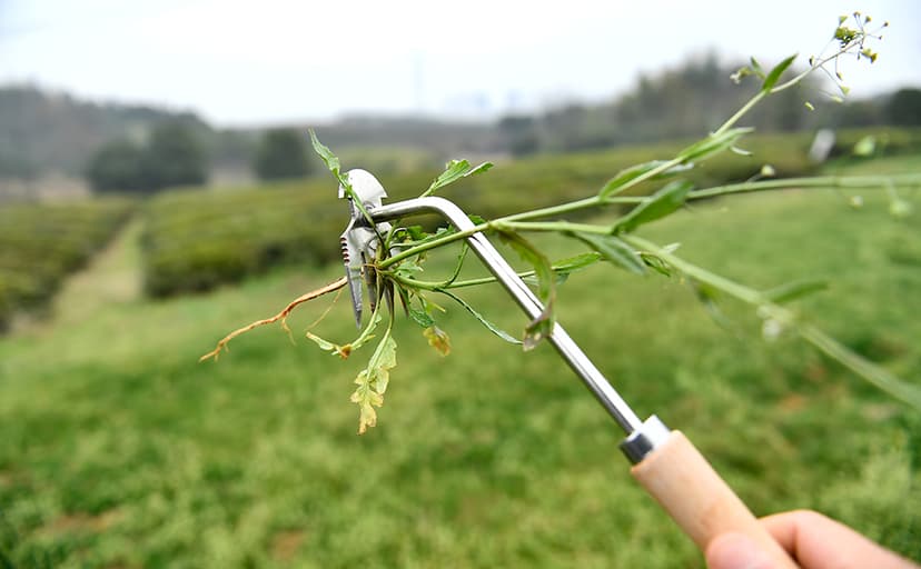 Hand Weeder Tool, Stainless Steel 2 Pcs Weeder Tool for Garden and Farm,Weeding Tool for Gardening,Garden Weeder, Weed Pulling Tool, Weed Puller Tool(Wooden Handle)…