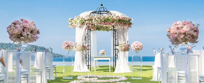 YITAHOME Birdcage Shape Garden Arch Arbors, 9.8'H x 6.8'W Pergola Pavilion for Climbing Plants Outdoor, Wedding Arches for Ceremony Party, Metal Garden Arbor for Patio, Backyard (Black)