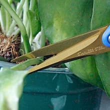 12PCS Pruning Shears with Curved Blades, Garden Trimming Scissors, Gardening Hand Pruning Snips Titanium Coated Precision Bonsai Pruning Shears, Convenient Flower Cutters (Blue)