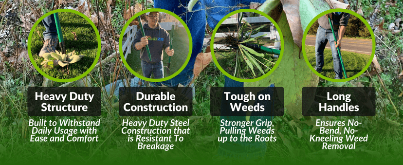Landzie Weeder Weed Puller Tool, 44 Inch Steel Stand Up Weed Puller with Long Handle, Manual Weeders Weed Remover Tool Stand Up Heavy Duty Weed Picker and Weed Digger Garden Lawn Weed Tool