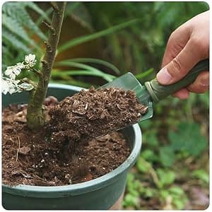 Garden Tool Shovel for Digging Gardening Trowel for Lawn Planting Stainless Steel Spade Wooden Handle Anti Slippery