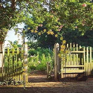 VINGLI Garden Arbor, Arch Archway for Wedding Ceremony Party, Steel Garden Trellis for Plant Climbing, Christmas Decorations Pergola for Backyard, Lawn (Black)