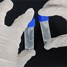 AquaDx 2 Pcs Water Bacteria Test Kit Total Coliform and E.coli Testing for Home Water Drinking Water Pool Pond Ground Well Water – Water Quality Test Kit Easy to Use