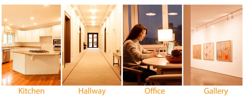 DAYBETTER BR30 LED Light Bulbs Indoor Flood Light, 5000K Daylight White LED Bulb 65W Equivalent, Dimmable, E26 Base, 800LM, Recessed Can Bulb for Living Room Bedroom Dining Room Bathroom, 12Pack