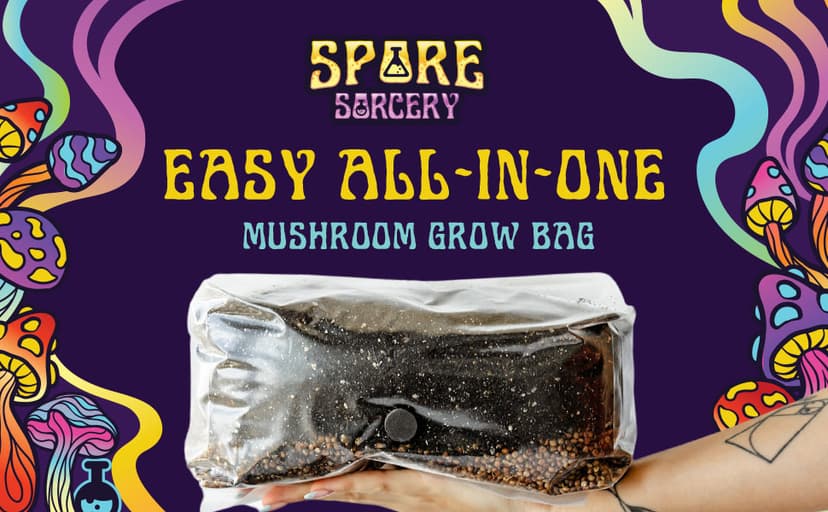 Jumbo All-in-One Mushroom Grow Bag | 6 lb Mushroom Grow Kit | Grows Like Magic | Spores Not Included | Grow Mushrooms at Home | Mushroom Grow Kit | Sterilized Grain with Substrate
