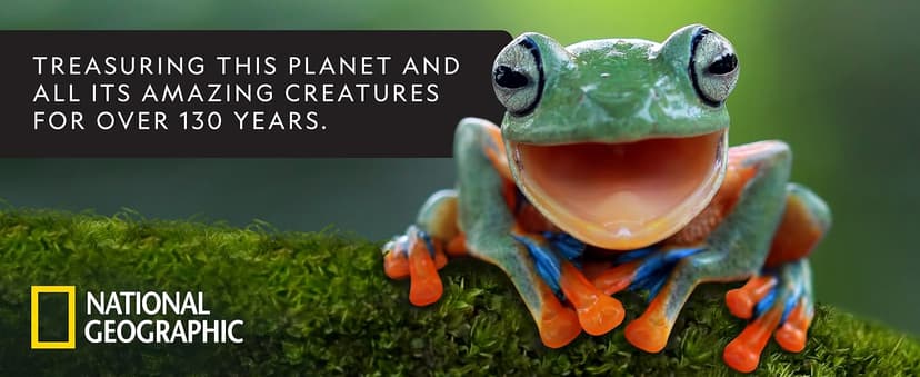 National Geographic Starter Metal Detector Kit for Kids - Kids Metal Detector with 7.4" Waterproof Coil & Trowel, Lightweight Gold Detector, Beach Detecting, Gift for Boys & Girls