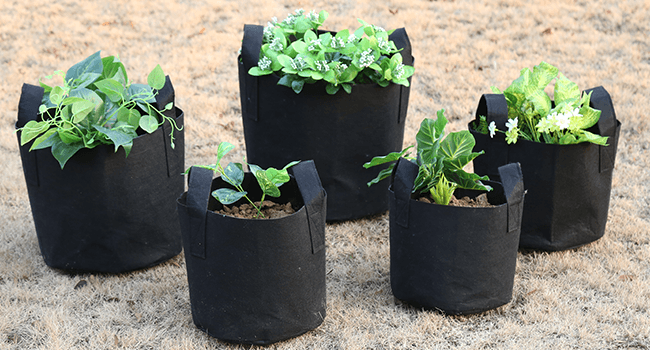 JERIA 12-Pack 5 Gallon, Vegetable/Flower/Plant Grow Bags, Aeration Fabric Pots with Handles (Black), Come with 12 Pcs Plant Labels