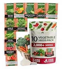 HOME GROWN Bloomsdale Spinach Seeds Pack – 353 Heirloom 𝗡𝗢𝗡-𝗚𝗠𝗢 𝗨𝗦𝗔-𝗦𝗢𝗨𝗥𝗖𝗘𝗗 Seeds – High Germination Spinach for Indoor, Outdoor, Hydroponic Planting & Home Gardens (Spinacia oleracea)